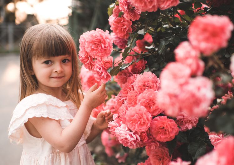 cute-preschool-smiling-kid-girl-with-rose-flowers-2022-11-17-14-59-42-utc.jpg